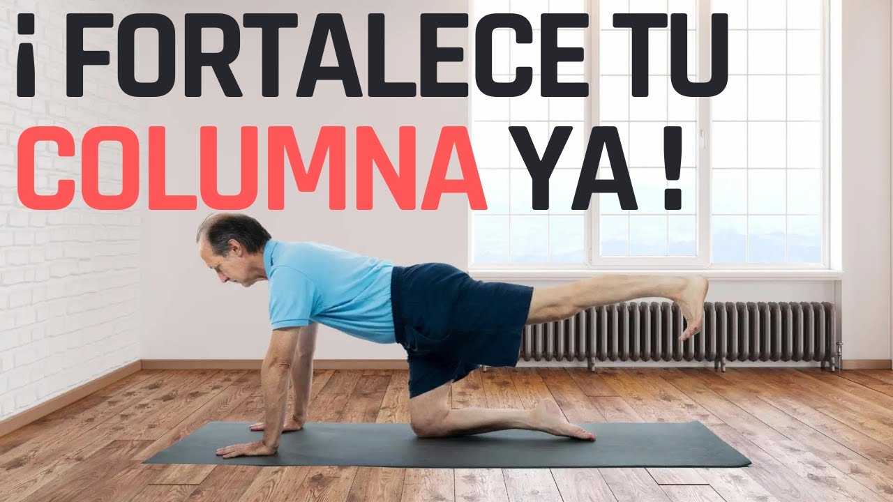 Fortalece tu Columna: La Importancia del Músculo Multífido
