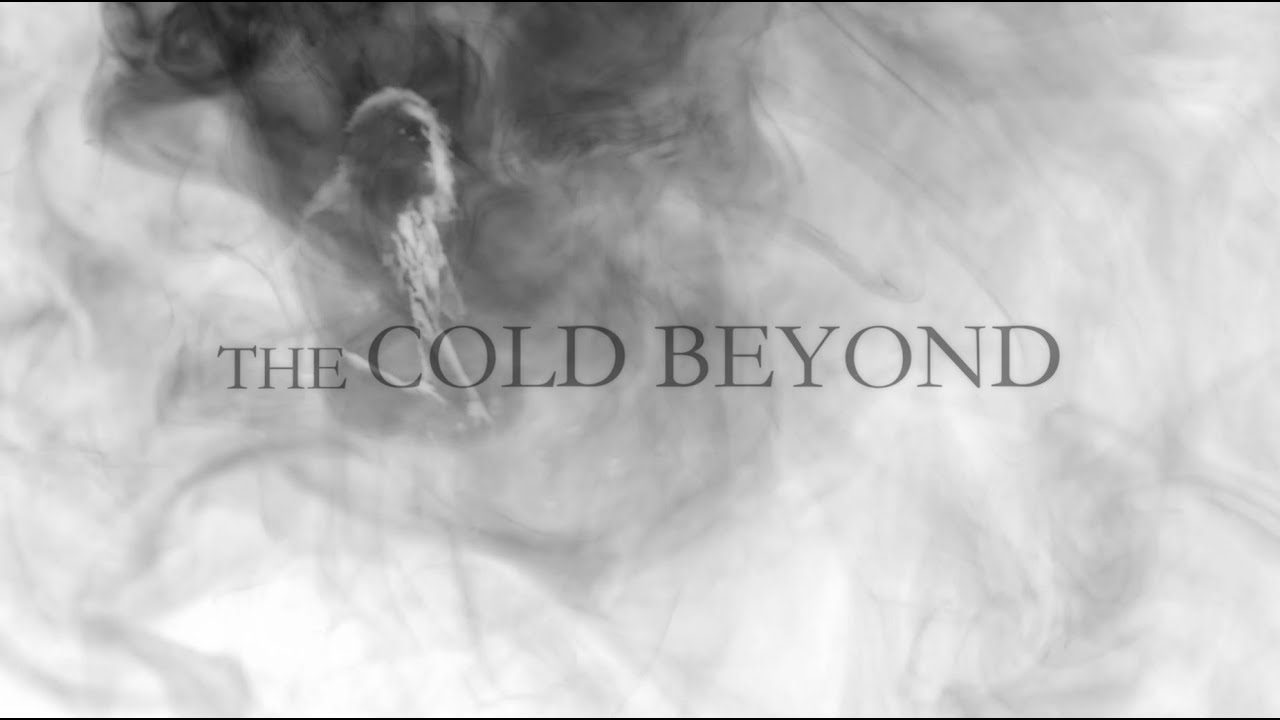 FRAILTY - The Cold Beyond