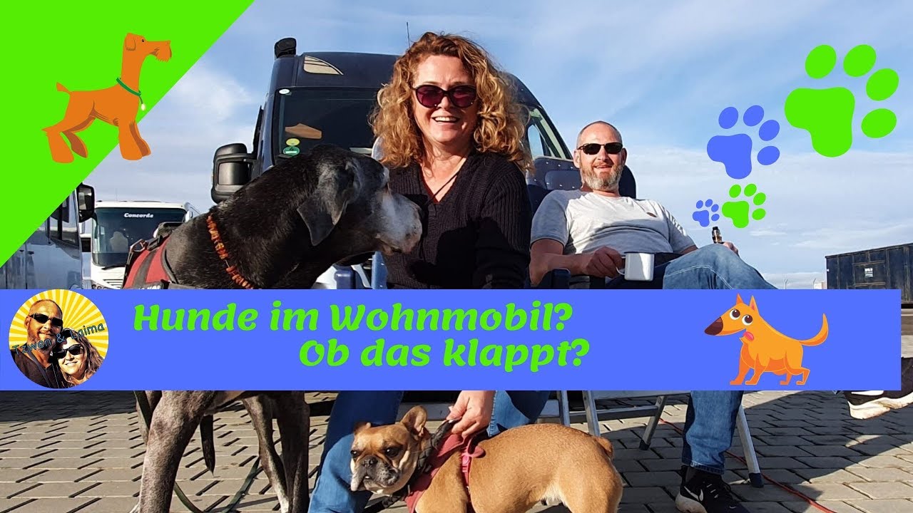 #Hunde 🐕‍🦺 im Wohnmobil, im Kastenwagen 🚐? Ob das klappt? | Unsere Erfahrungen und Tipps ✅