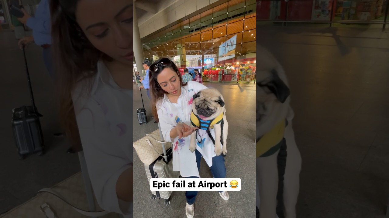 Simba ne Airport pe mera popat kar diya 😑 