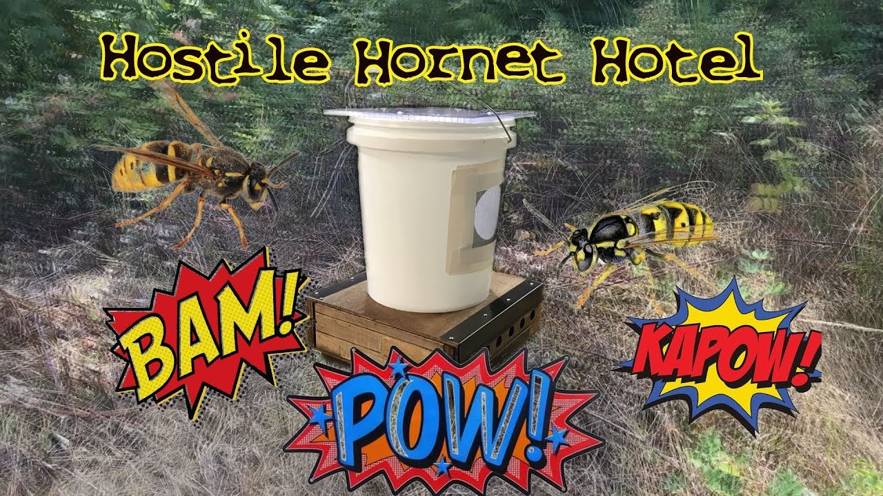 Yellow Jacket Death Trap