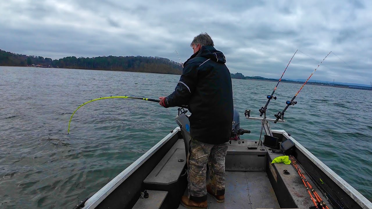 Day Of Giants Catfishing The Tennessee River