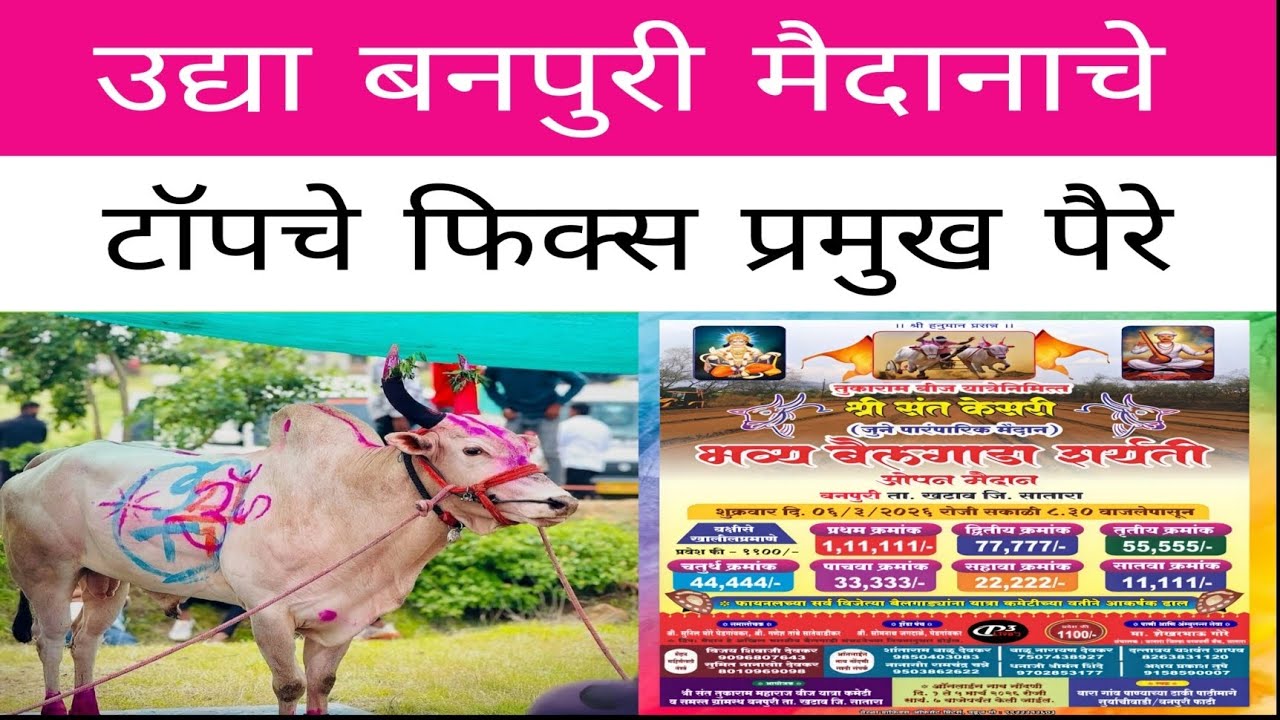 उद्या बनपूरी येथे होणाऱ्या ओपन मैदानात बकासुर चिक्या सर्जा रायफल सुंदर लखन कोणत्या टॉपच्या पैऱ्यात ?