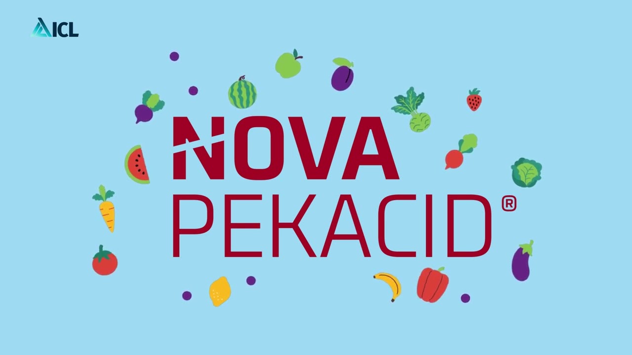 Nova Acid: Precision Nutrition for Healthier Crops & Bigger Yields