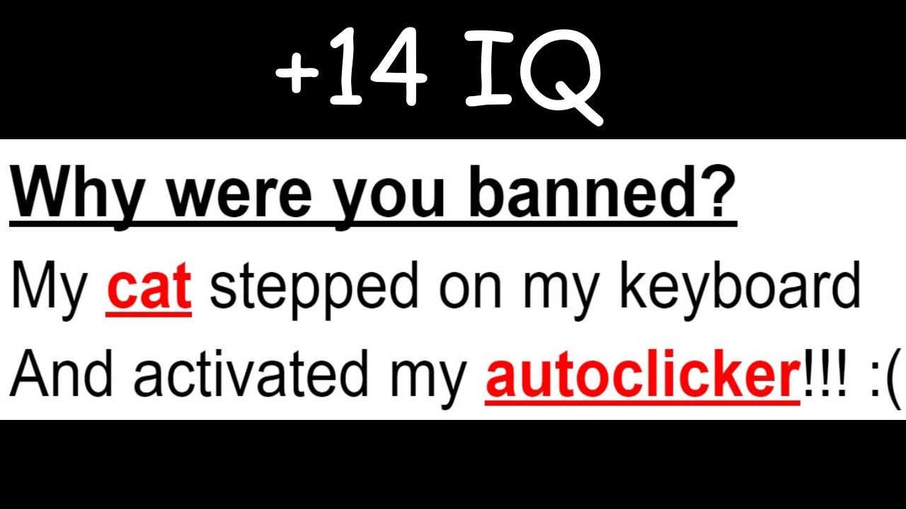 Minecraft Ban Appeals, But I Lose Brain Cells