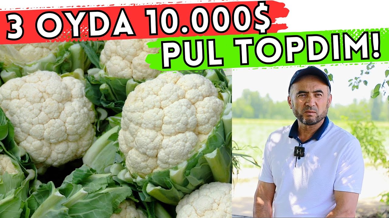 #2025 DALADA GULKARAM YETISHTIRISH BIZNESINING SIRLARI 2025