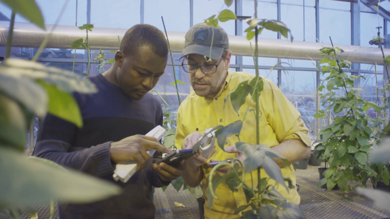 MSU-DOE Plant Research Lab - David Kramer and PhotosynQ