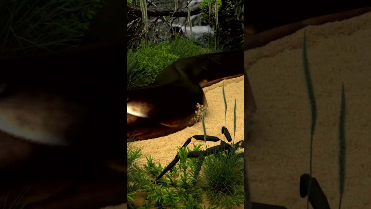 EXOTIC PETS Test | Vivid CGI Wildlife with Unreal Engine & Cinema 4D,  