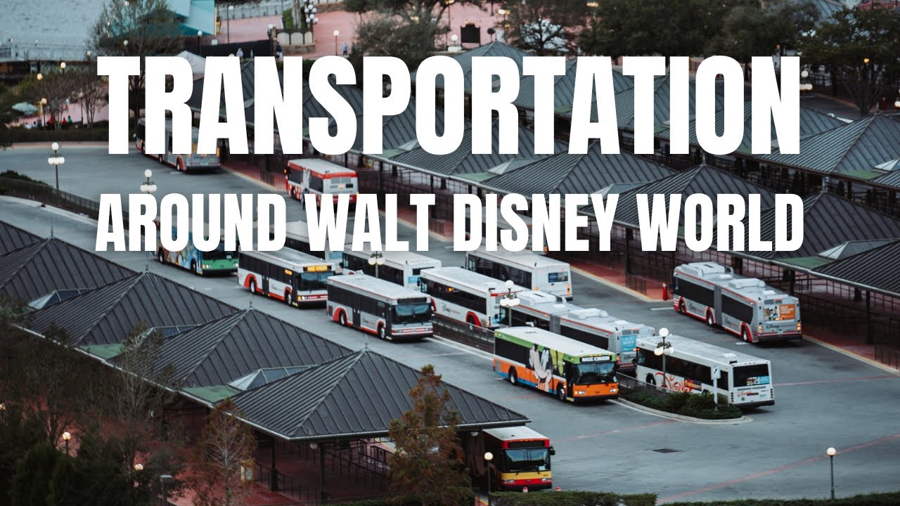 How To Disney: Transportation Around Walt Disney World