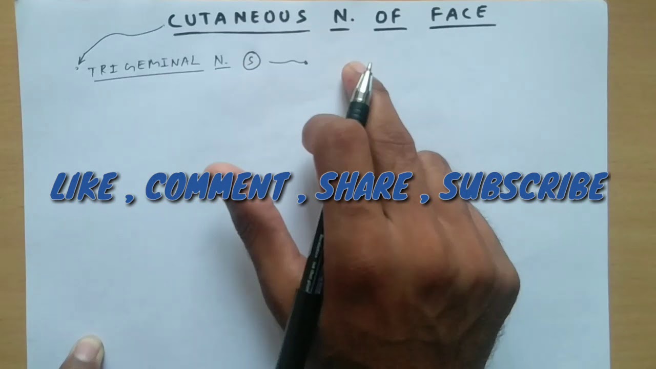 Cutaneous nerve of FACE - 1/2