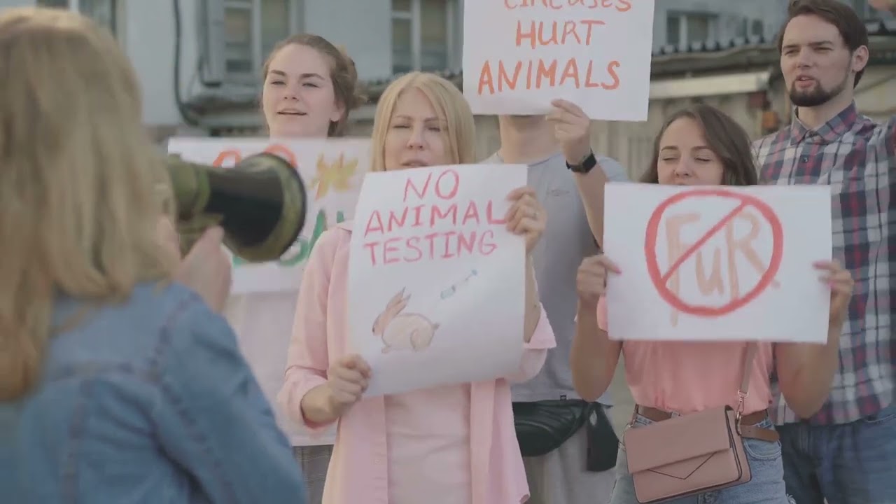 La 5D: Un Mundo de Libertad y Respeto