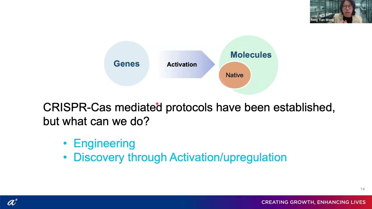 An Adventure of Molecular Engineering Across Scales