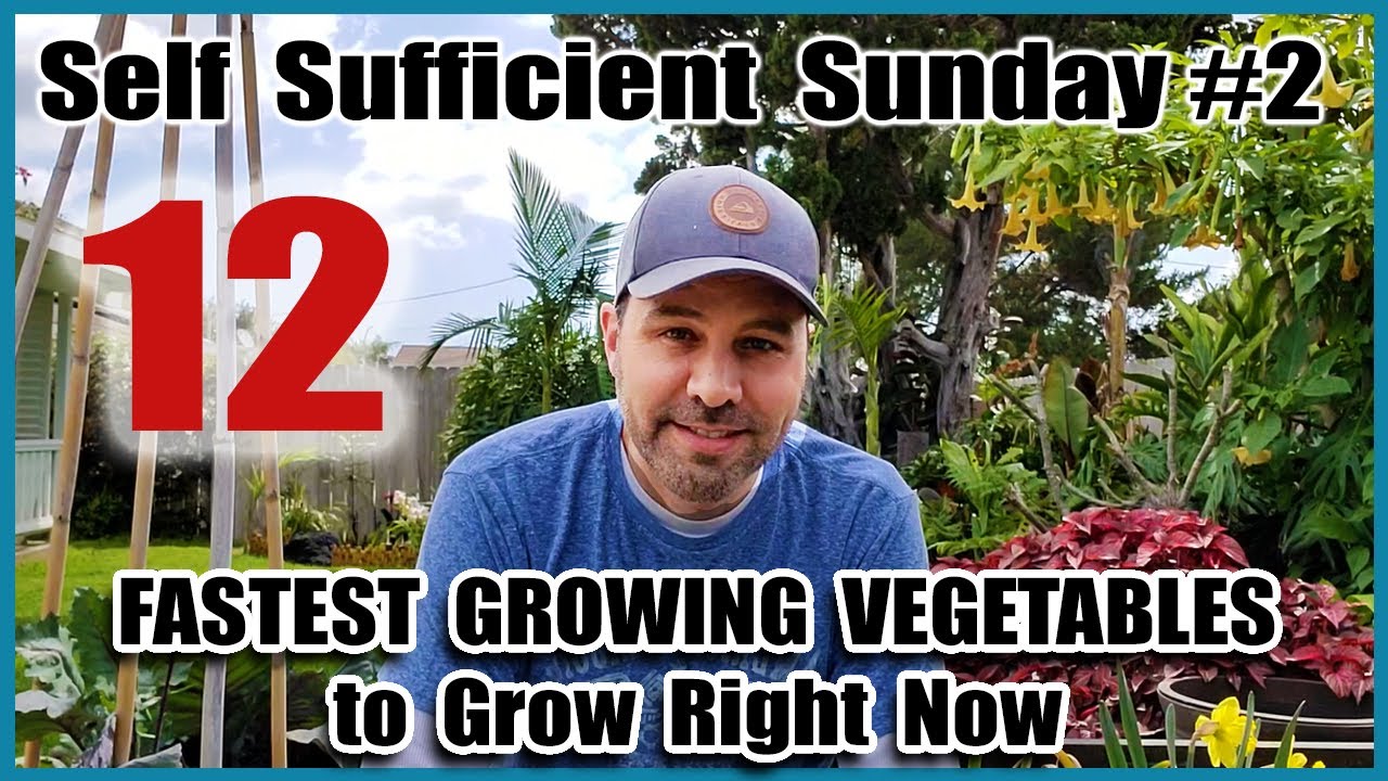 12 Fastest Growing Vegetables You Can Grow NOW! - Survival Garden -Self Sufficient Sunday #2
