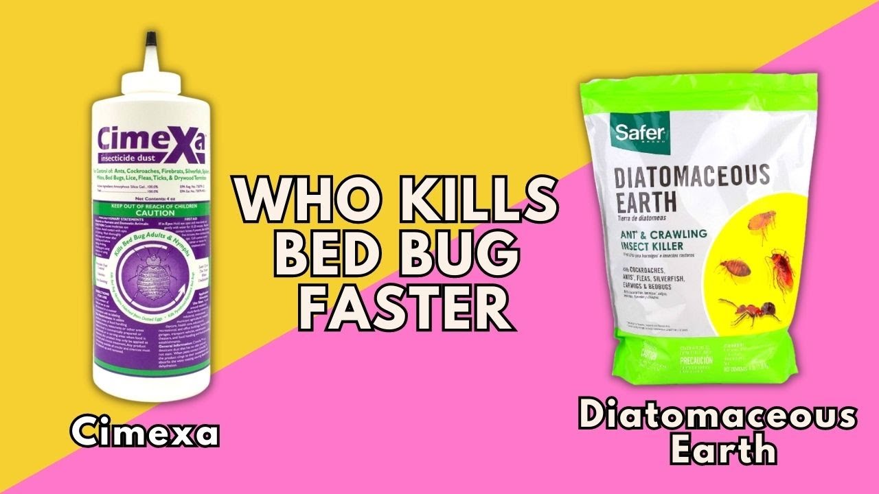 Cimexa Vs Diatomaceous Earth Bed Bug Killer - Which Kills Faster