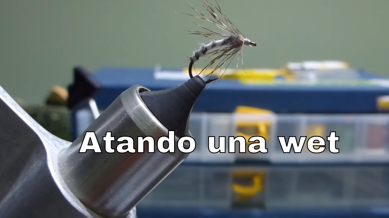 Atando una wet