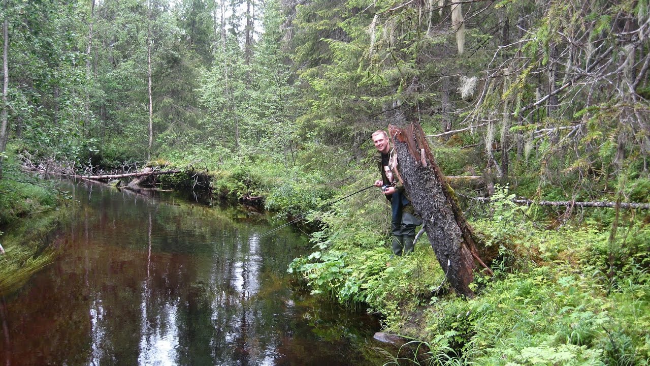 Калевала и окрестные речки да ручьи