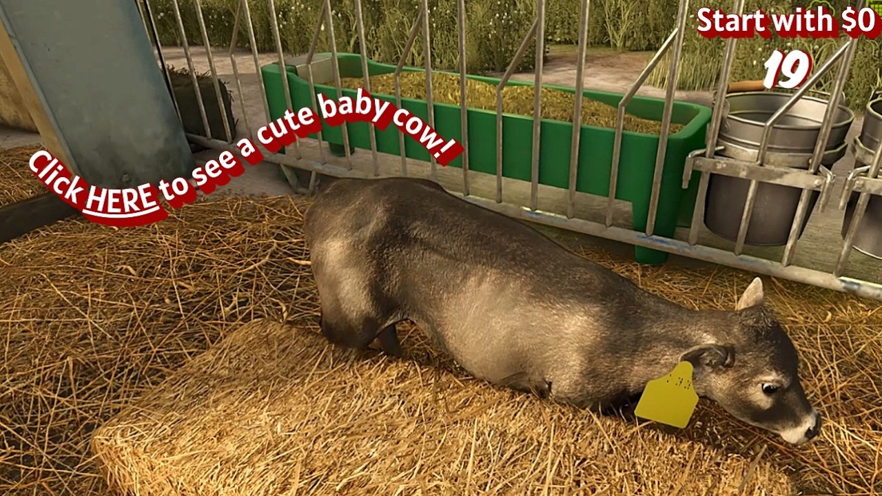 Zeilonka - Start With $0 Lets Play FS25 - EP19