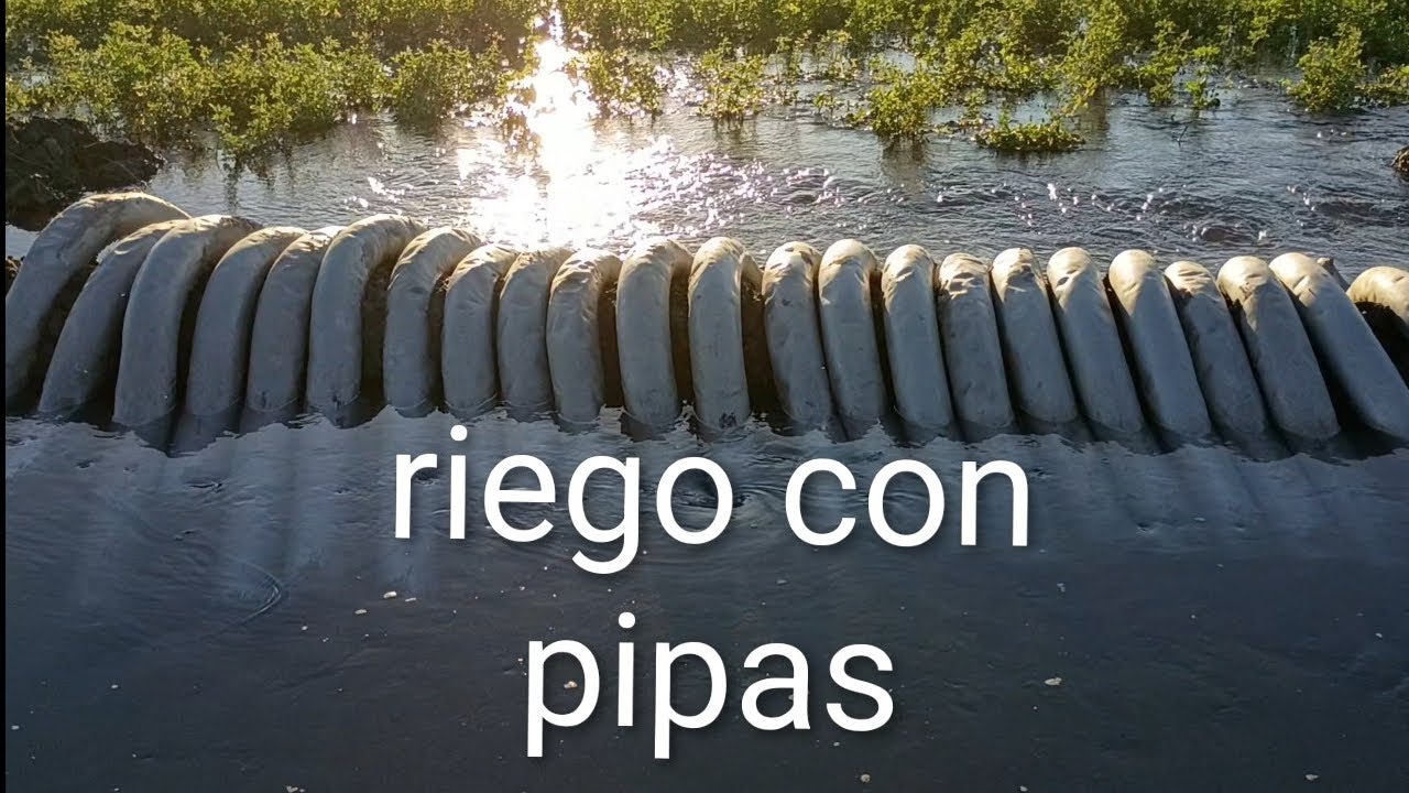 así es el riego con pipas en California usa