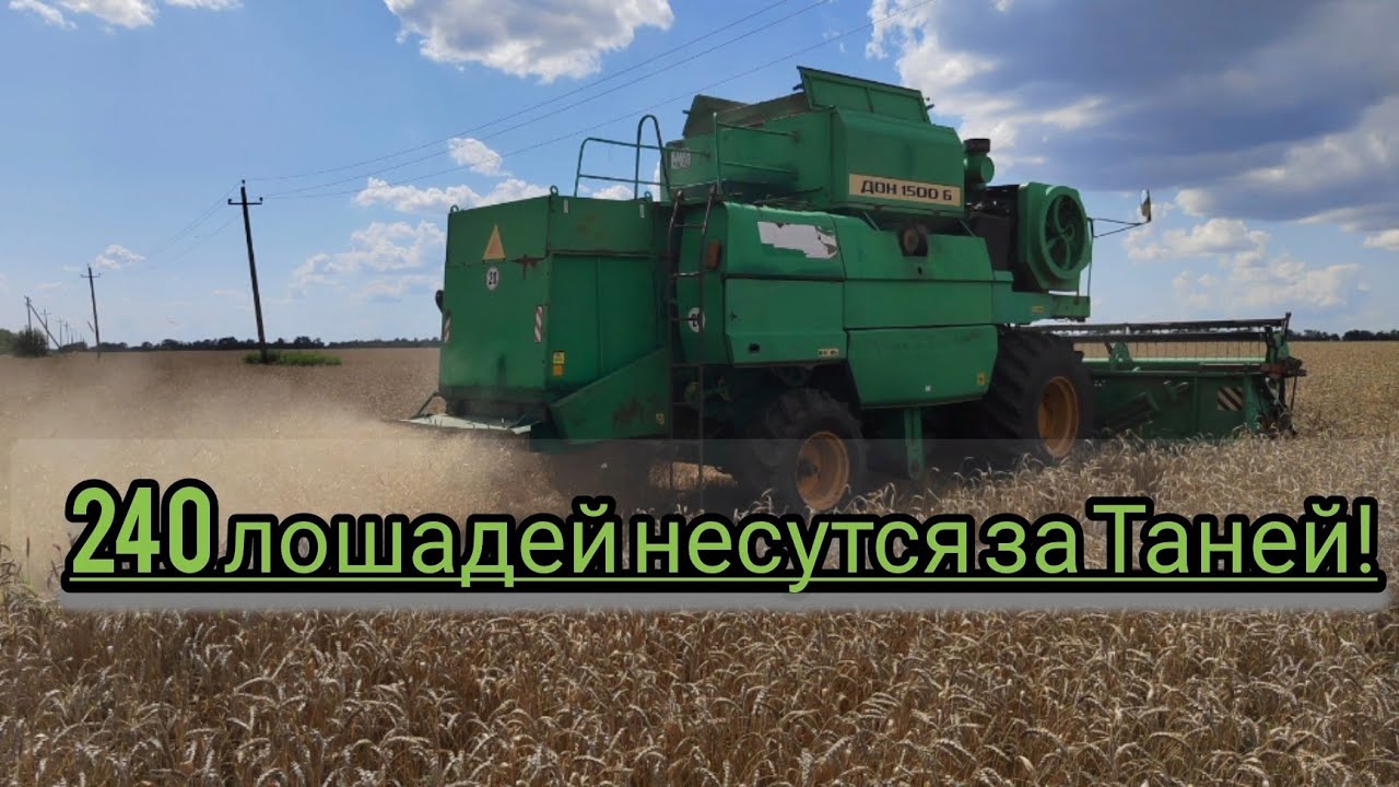 Уборка урожая пшеницы 2023!