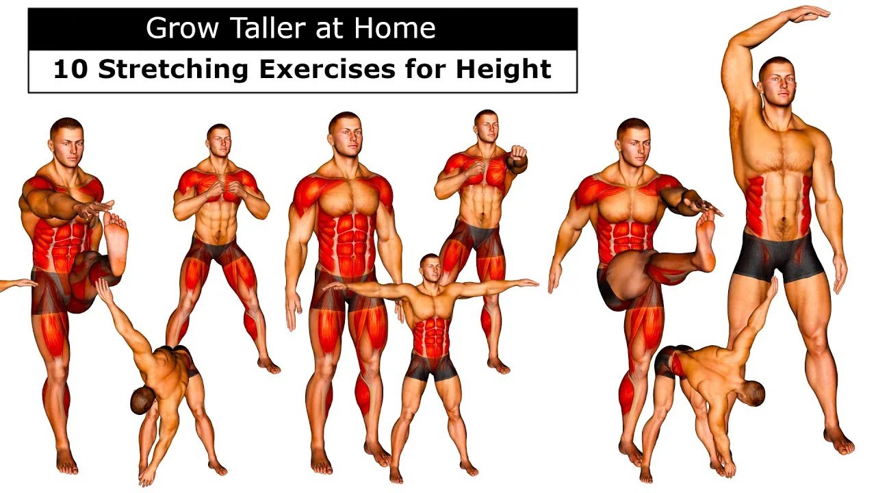 Increase Height After 18 | 16 Standing Stretches You Can Do at Home
