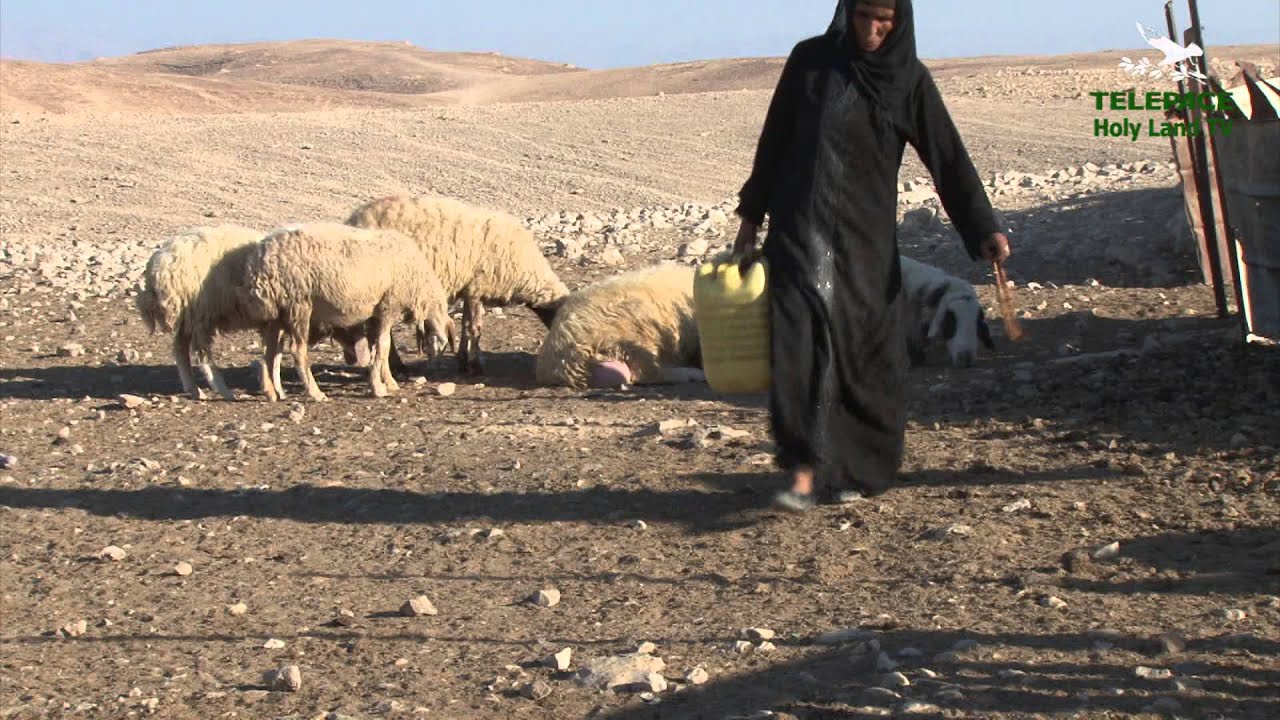 NEL DESERTO DI GIUDA CON I BEDUINI