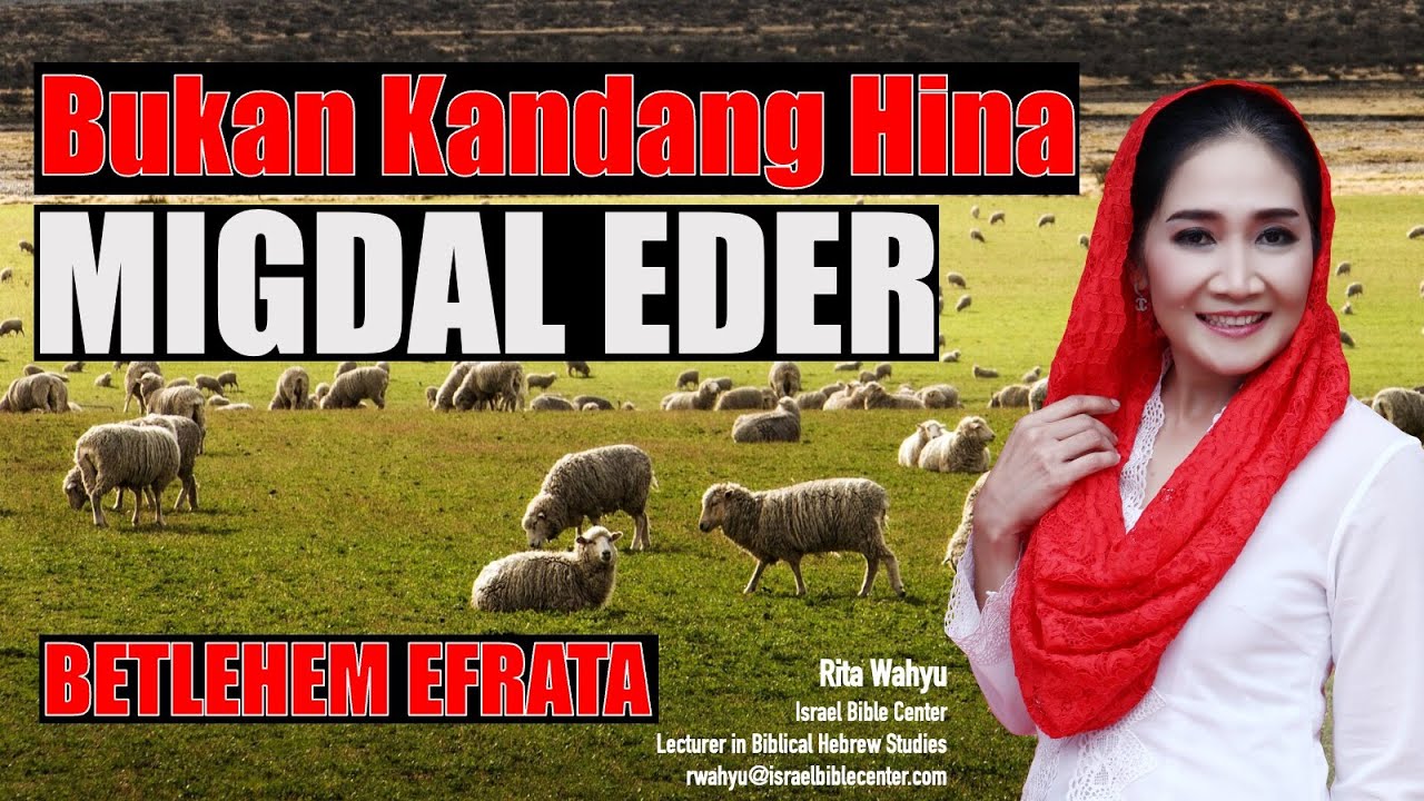BUKAN KANDANG HINA - MIGDAL EDER - BETLETHEM