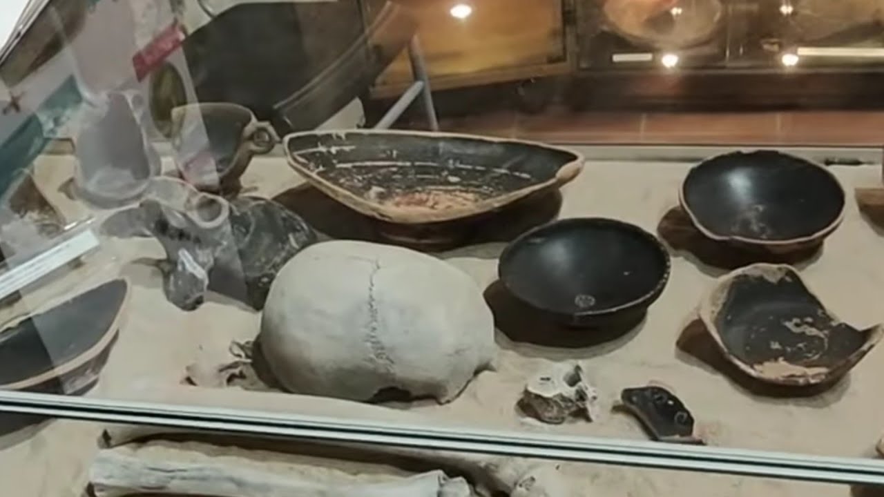 LA TOUR DE SANARY SUR MER 🌺✌️💜