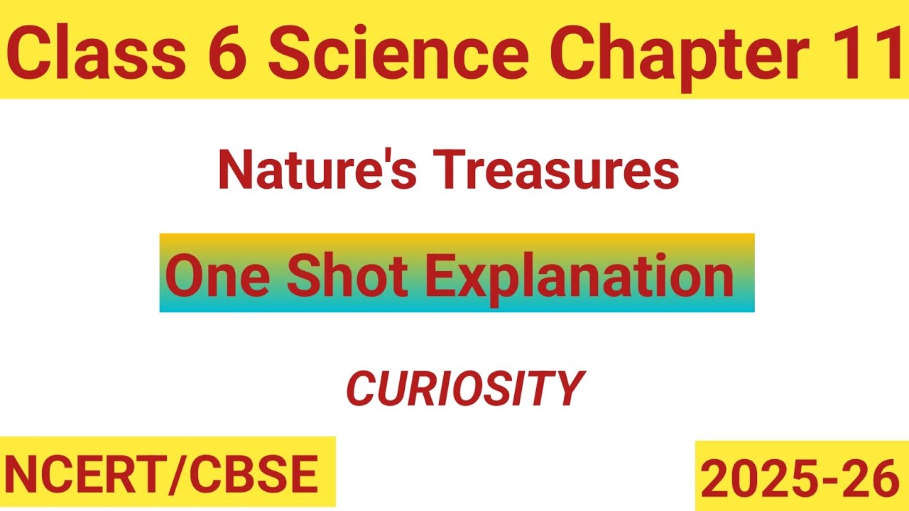 Nature's Treasures Class 6 |Science NCERT |One Shot | Chapter 11 