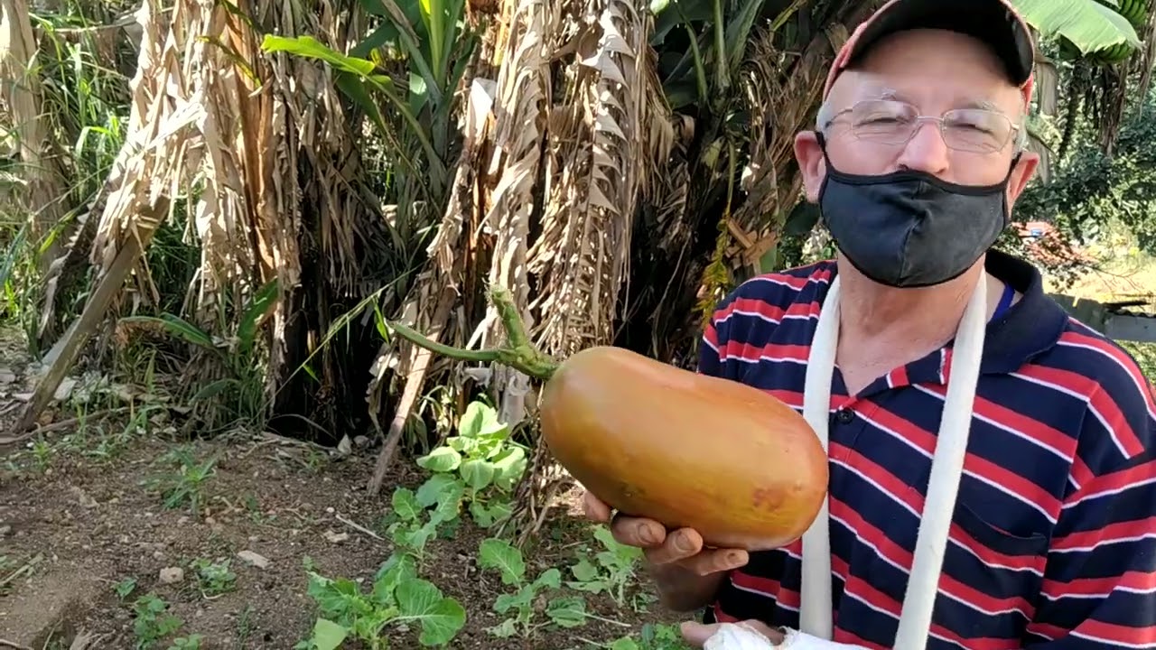 Horta Orgânica em Barranco com Valter Damião