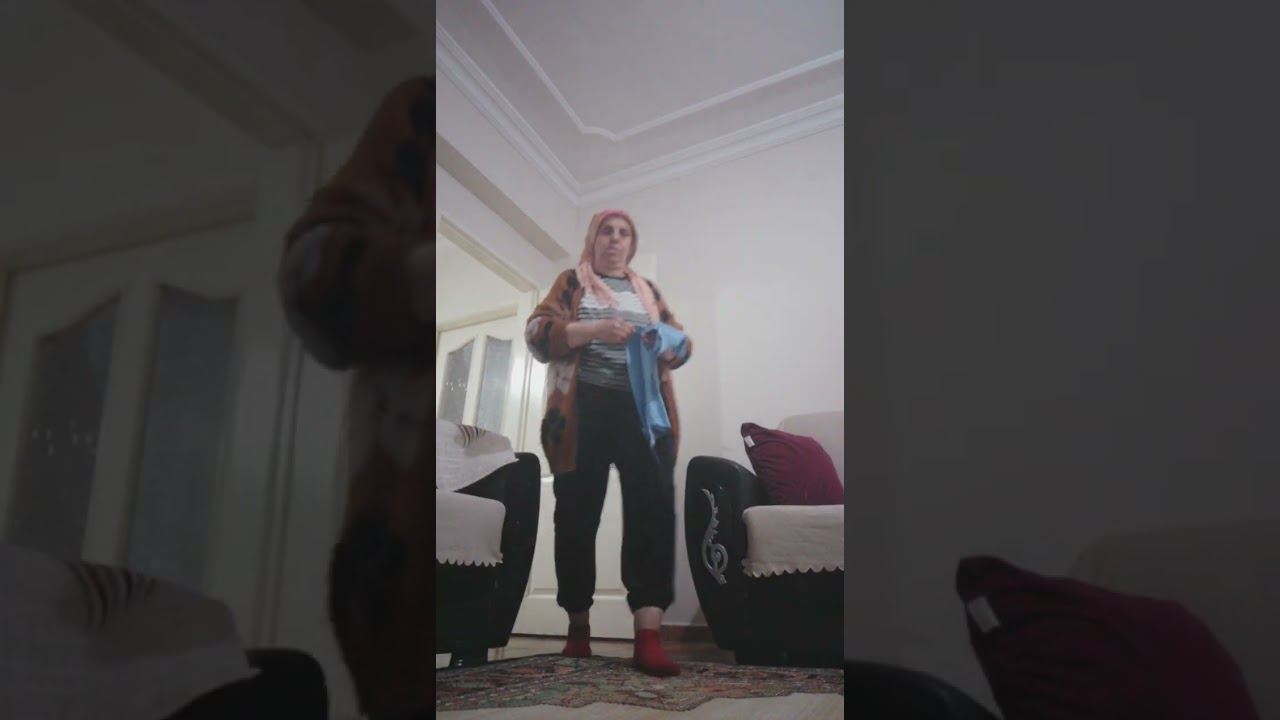 Evi gırgırlıyorum siliyorum. 