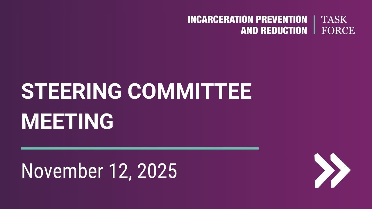 IPRTF - Steering Committee - Nov. 12, 2025