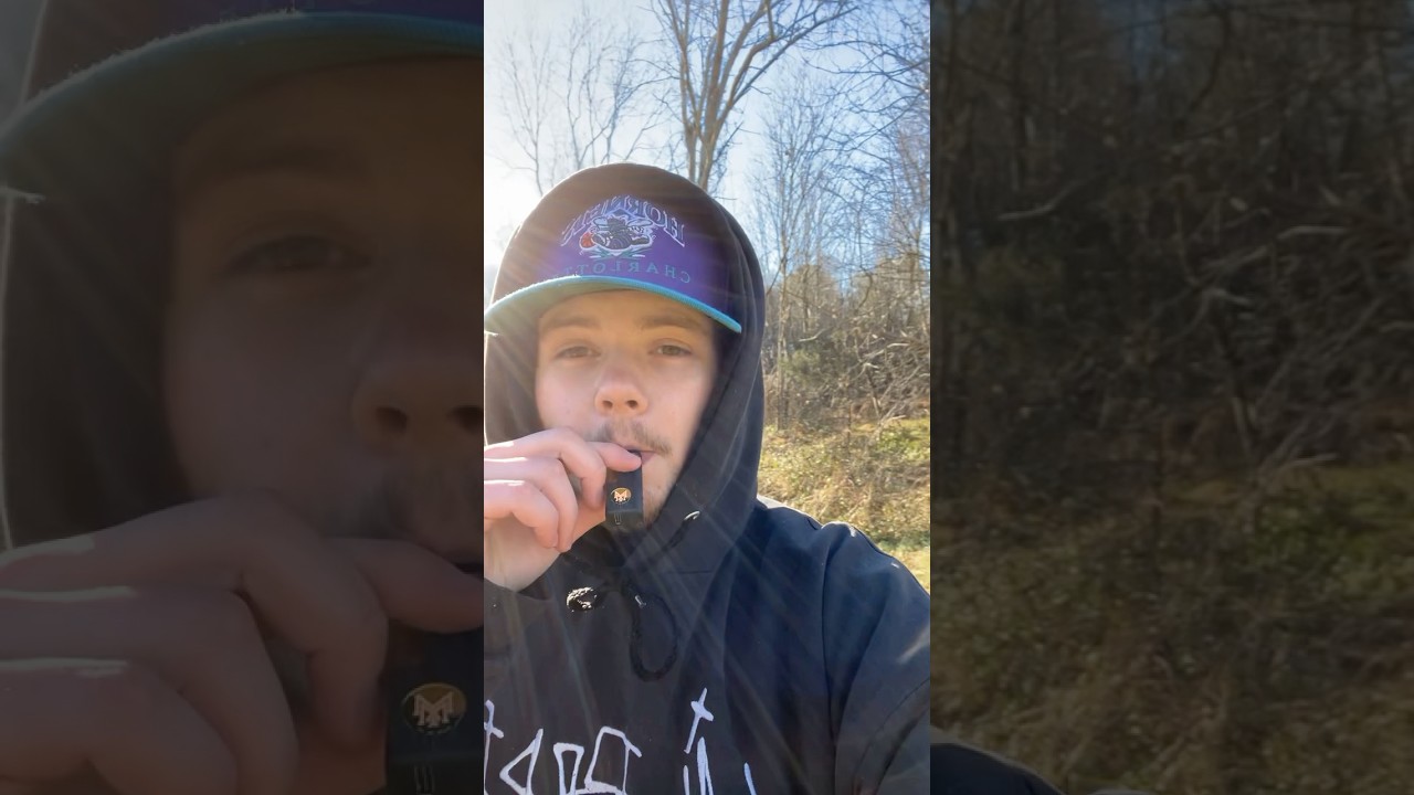 Muha Meds Purple Punch Blinker
