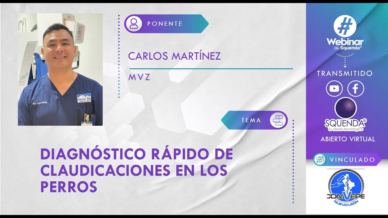 Diagnóstico Rápido de Claudicaciones en los Perros - MVZ Carlos Martínez