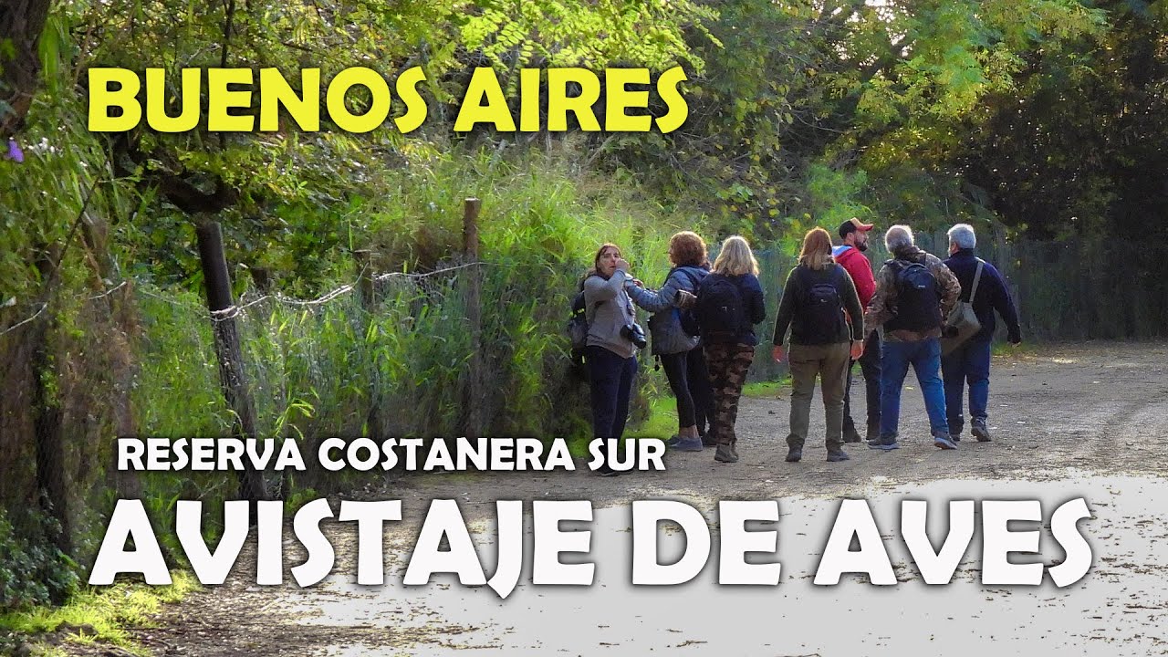 Avistaje de Aves en Buenos Aires - Reserva Costanera Sur