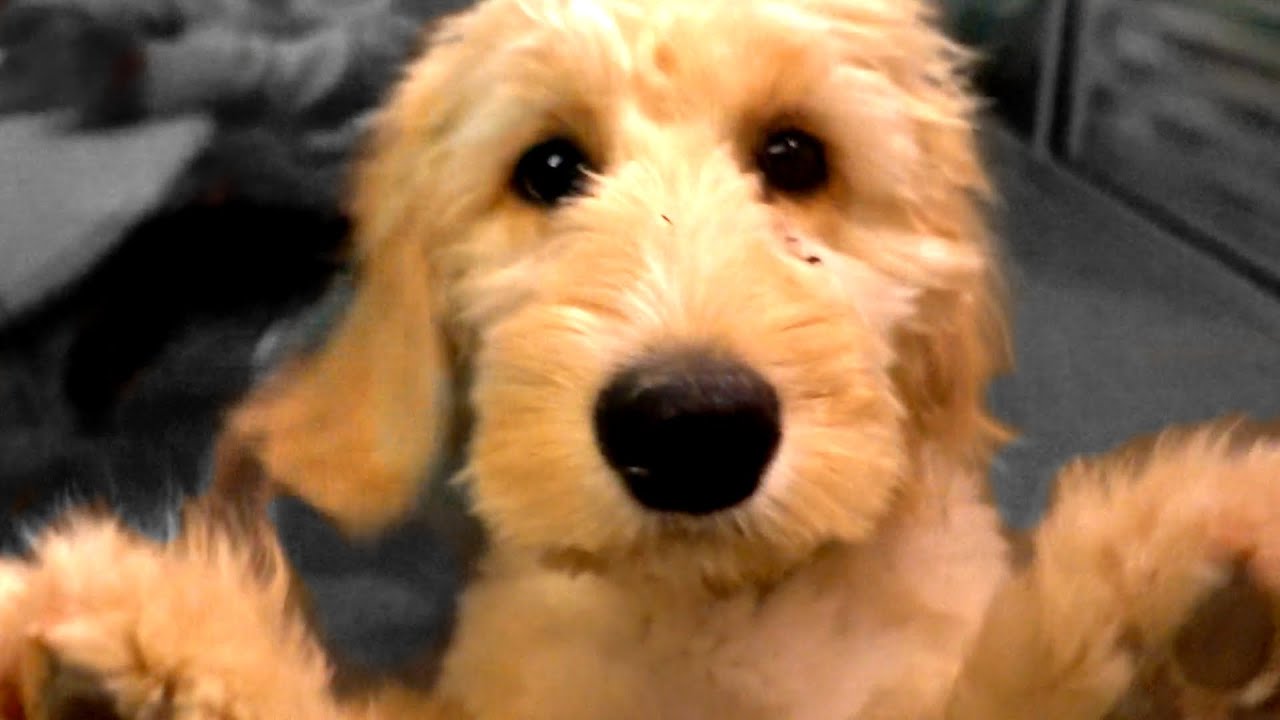 We Snuck Her INSIDE!