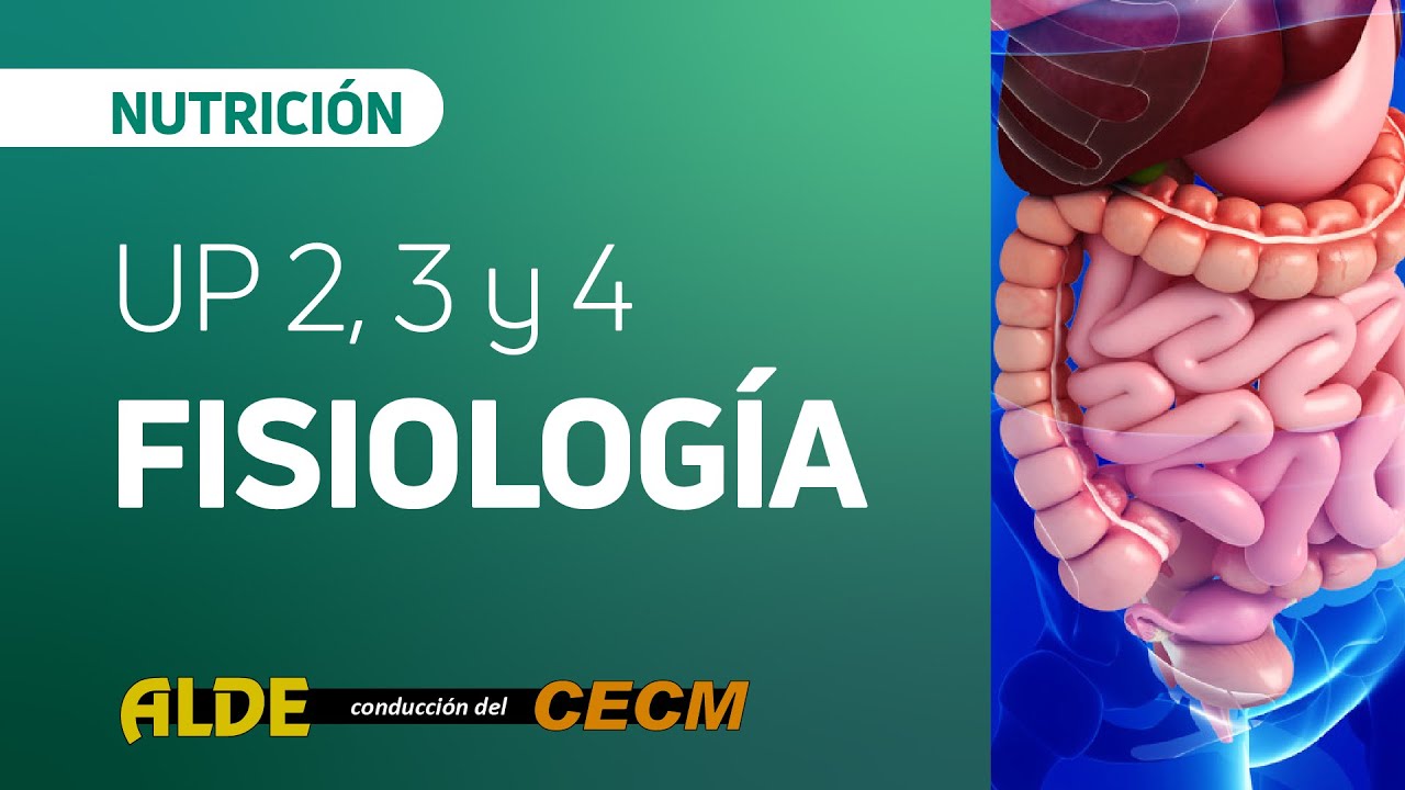 Fisiología UP 2, 3 y 4 | Clase de Repaso Nutrición