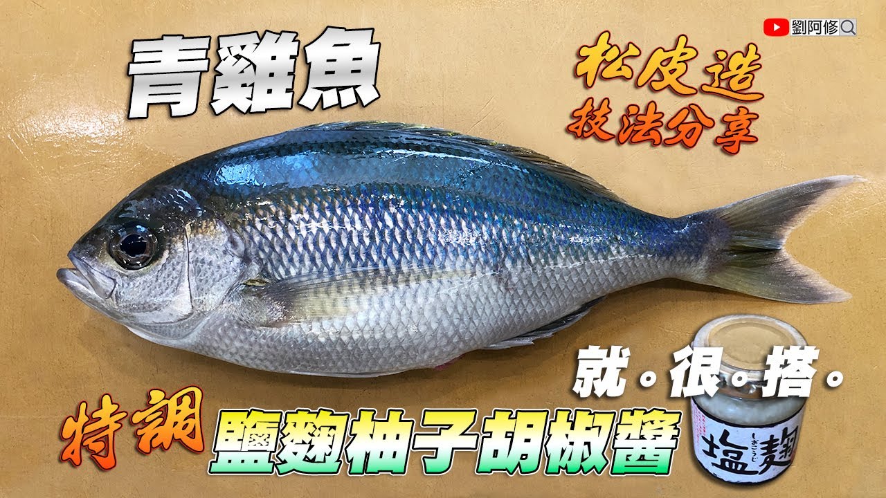 青雞魚的處理｜冷凍之後更好吃的魚？郭師傅教你如何製作「鹽麴柚子胡椒醬」搭配青雞魚松皮造讓人超驚豔《味留一升庵》@料理中的料理人－郭宗坤 2021/09/05