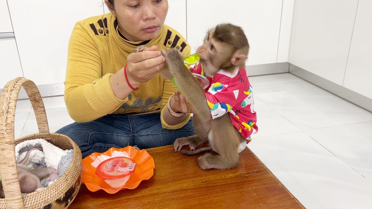 Big Boy Harry Stay Manner On Table For Mom Feed Jelly Snack