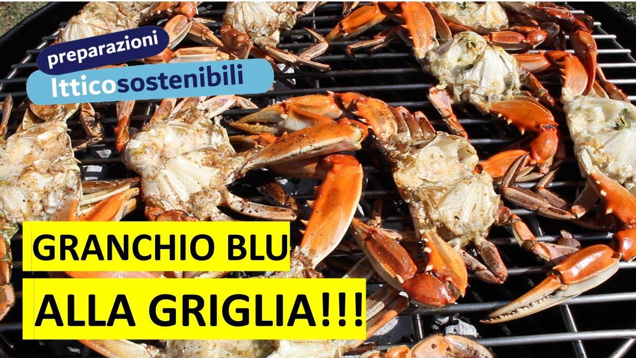 Granchio blu alla griglia: ricetta 