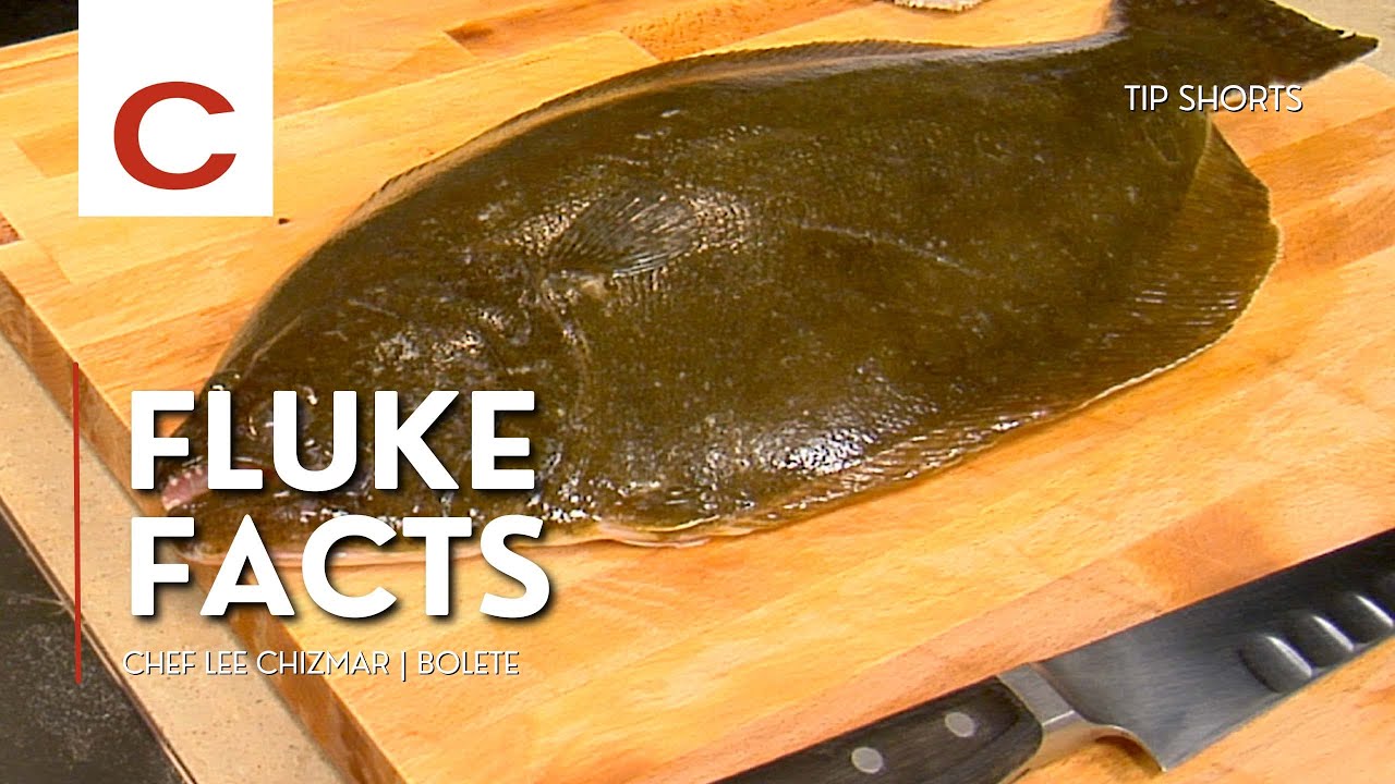Fluke Facts | Chef Lee Chizmar | Tips 