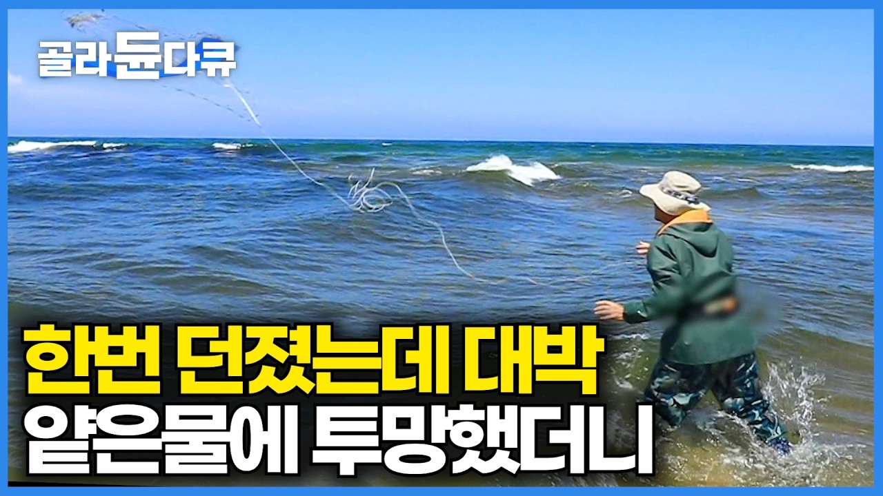 투망 손맛이 이렇게 좋았나. 기대도 안하고 던진 투망에 걸려주는 고마운 물고기｜즉석 회먹방｜한국기행｜#골라듄다큐