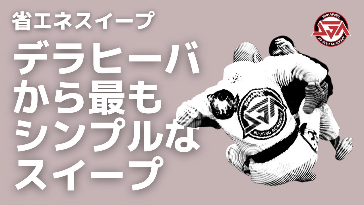 【省エネ】デラヒーバガードから最もシンプルなスイープ