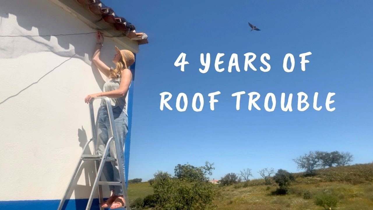 Trying to Fix our Infested & Leaking Roof on a Budget // 4 Year TIMELAPSE 