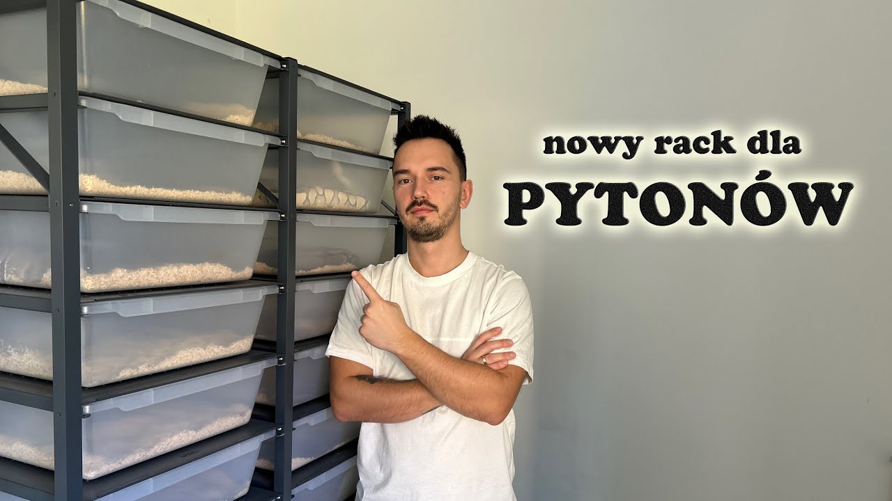 Nowy Rack System od Wraith Racks! Przegląd moich Pytonów królewskich!