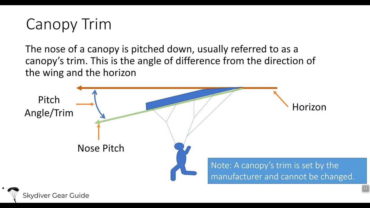 Canopy Basics: Trim