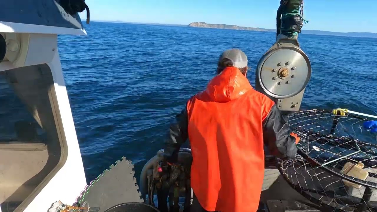 Commercial Crabbing 2025 F/V Presley Capri // Dungeness Crab Opener