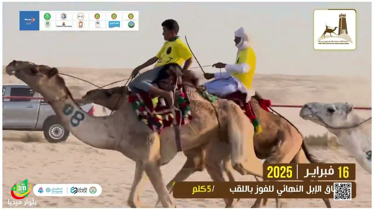 سباق 16 فبراير 2025  -5كــلم  - الاتحادية الثقافية والرياضية لسباقات الإبل والهجن 🐪 في موريتانيا