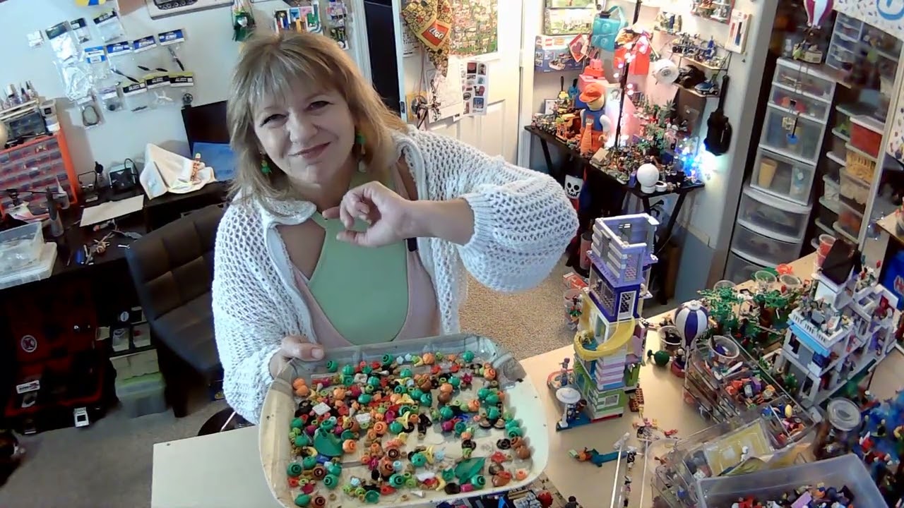A Day in The Life Of A LEGO Hoarder--Year End Update 2025