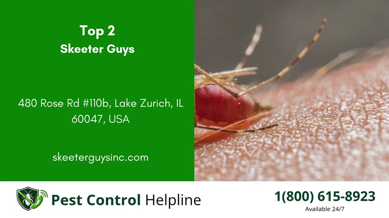 Top 3 Pest Control in Hawthorn Woods