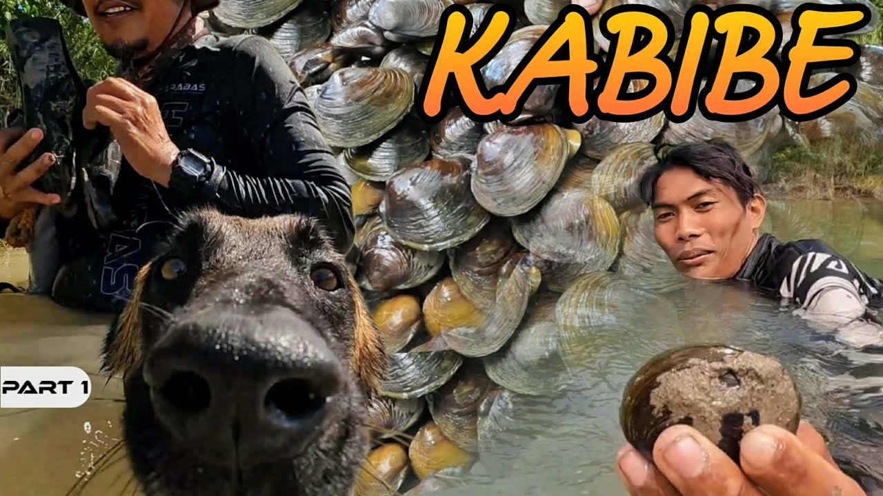 P1 - KABIBE - EP2112